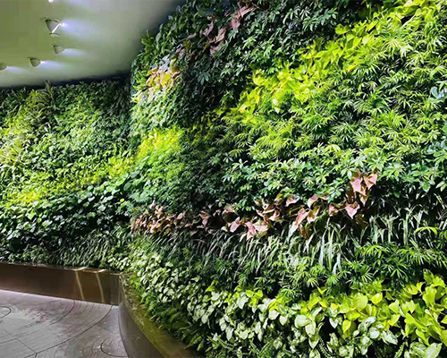 博鳌亚洲论坛会议展示中心植物墙，舍德园林工程（海南）有限公司
