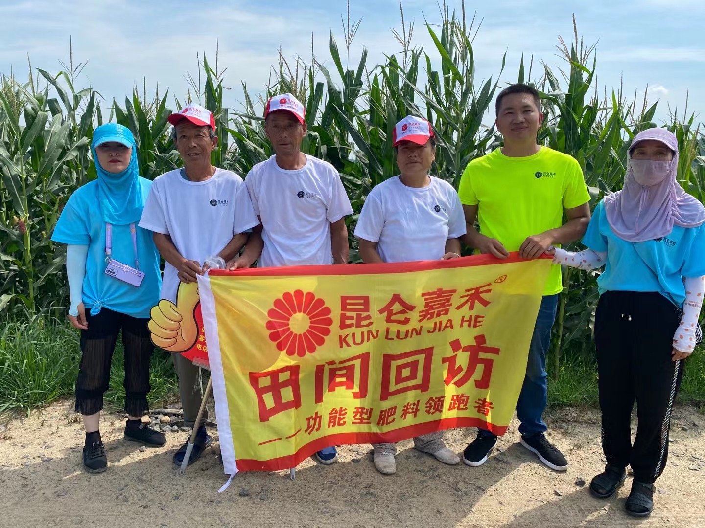 现场数穗粒，对比明显高产