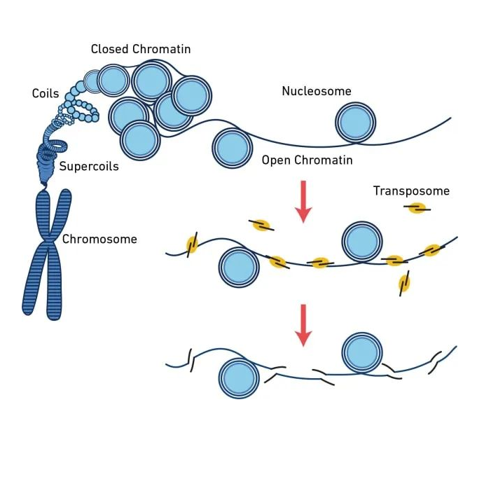 Cloud Zoom small image