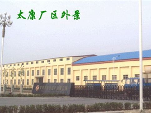 龙源纸业股份