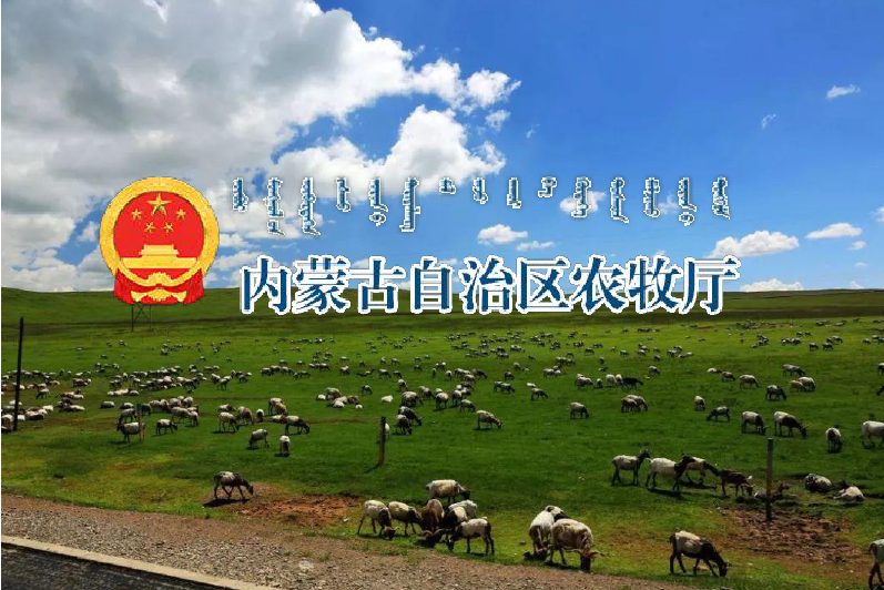 焦点图一