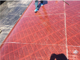 2022年，全面开工之号角已奏响，新的一年，我们一起走花路吧 ！！