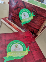 房建竹胶板和桥梁竹胶板的区别？