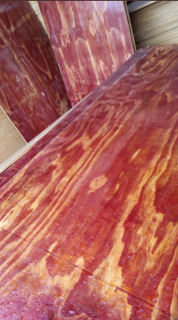 建筑模板的使用要注意防止发霉现象