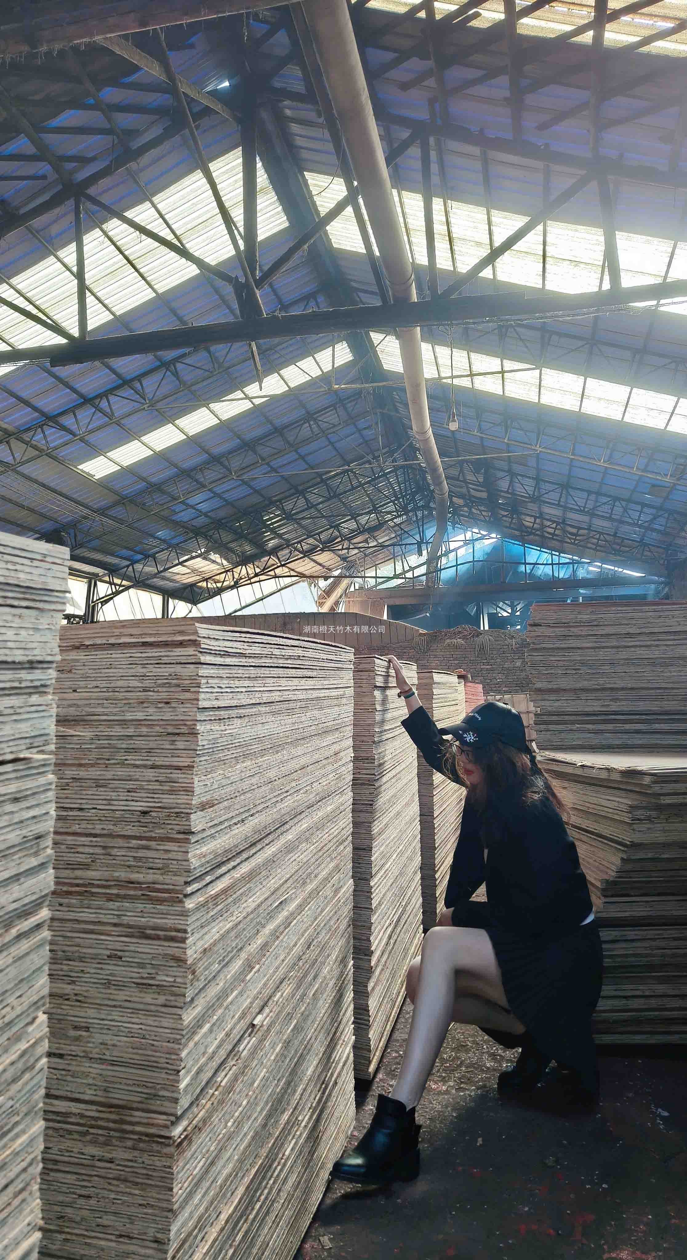 生產(chǎn)廠家分享：竹膠板主流產(chǎn)品，種類規(guī)格一篇全覽