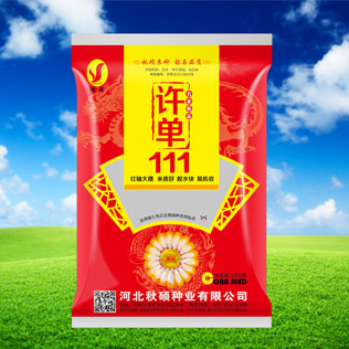 Cloud Zoom small image