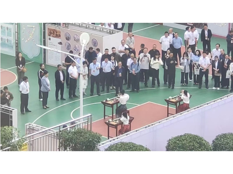 经典案例