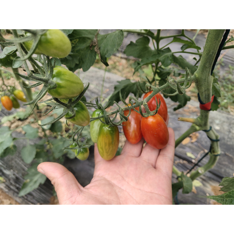 Cloud Zoom small image