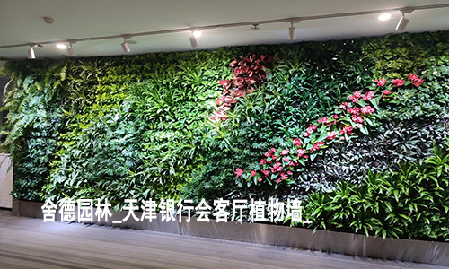 雄安新区市民服务中心厅生态植物墙展厅