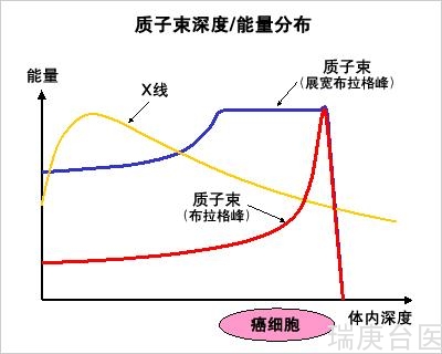 硼中子俘获疗法（BNCT）VS质子放疗