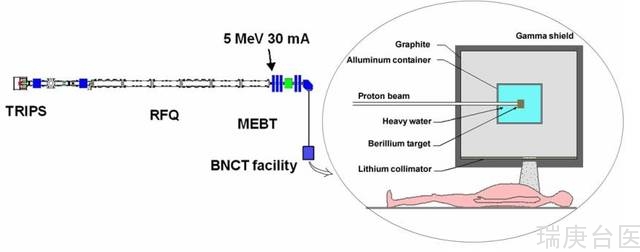 BNCT案例 | 硼中子俘获疗法治疗放射性骨肉瘤