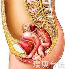  【台湾长庚医院】解决女性难以启齿的私密问题-骨盆腔脱垂手术!