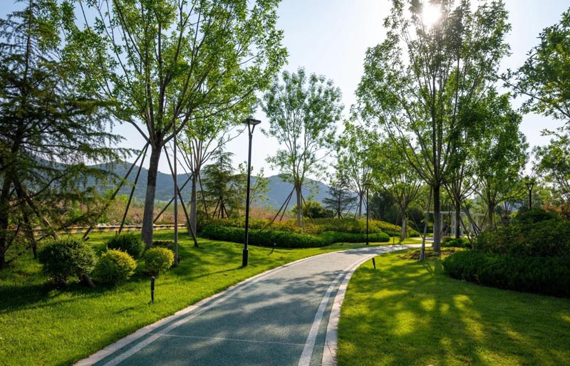 公園綠地
