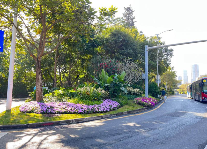 花境設(shè)計(jì)