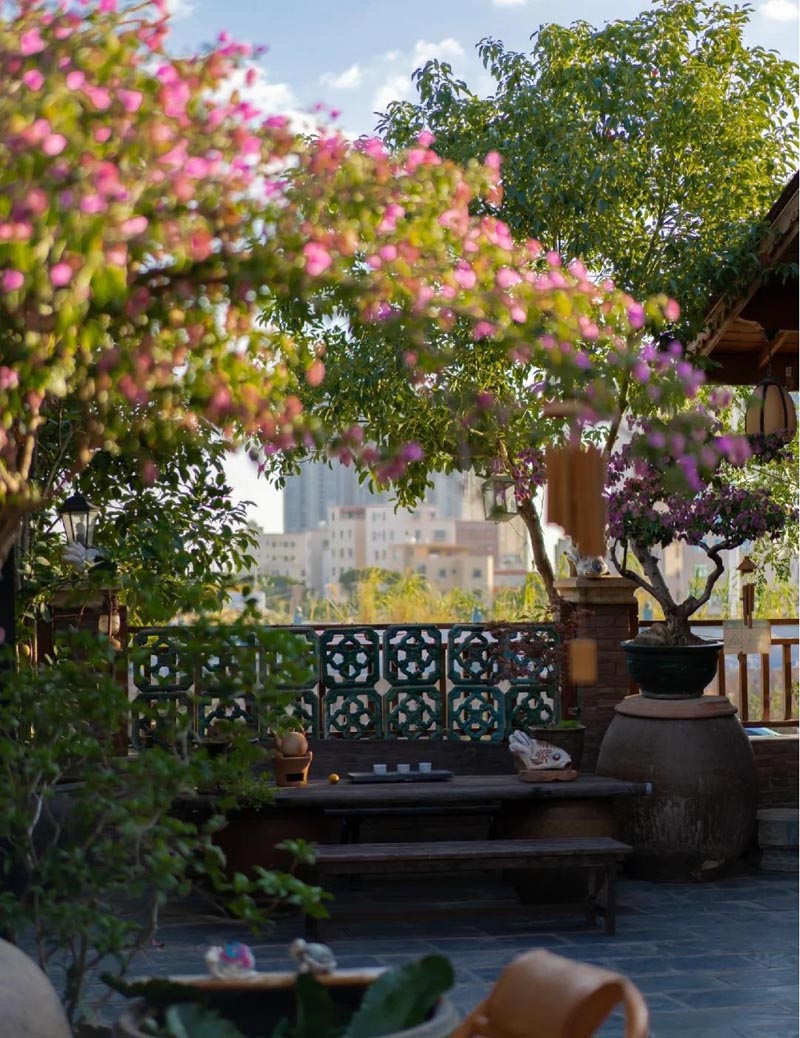 煮茶伴花眠