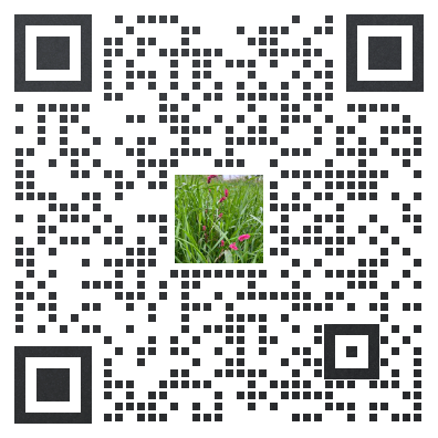 20251016110128_26360.png