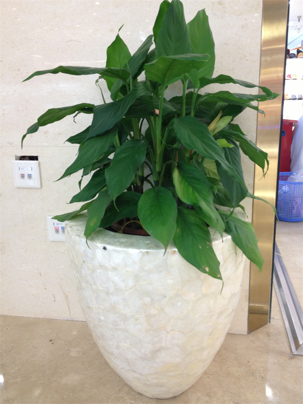 Cloud Zoom small image