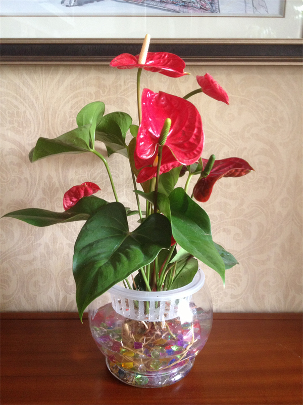 Cloud Zoom small image