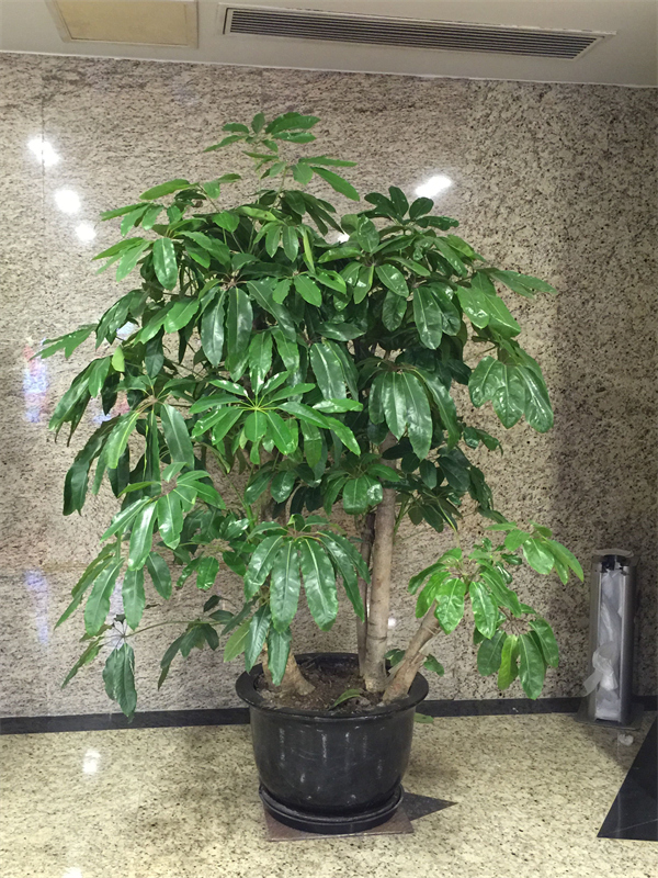 Cloud Zoom small image