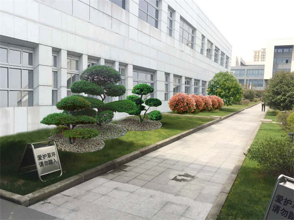 Cloud Zoom small image