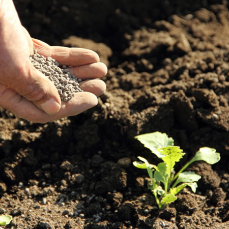 What Are the Development Trends of Organic Fertilizer Application Technology?
