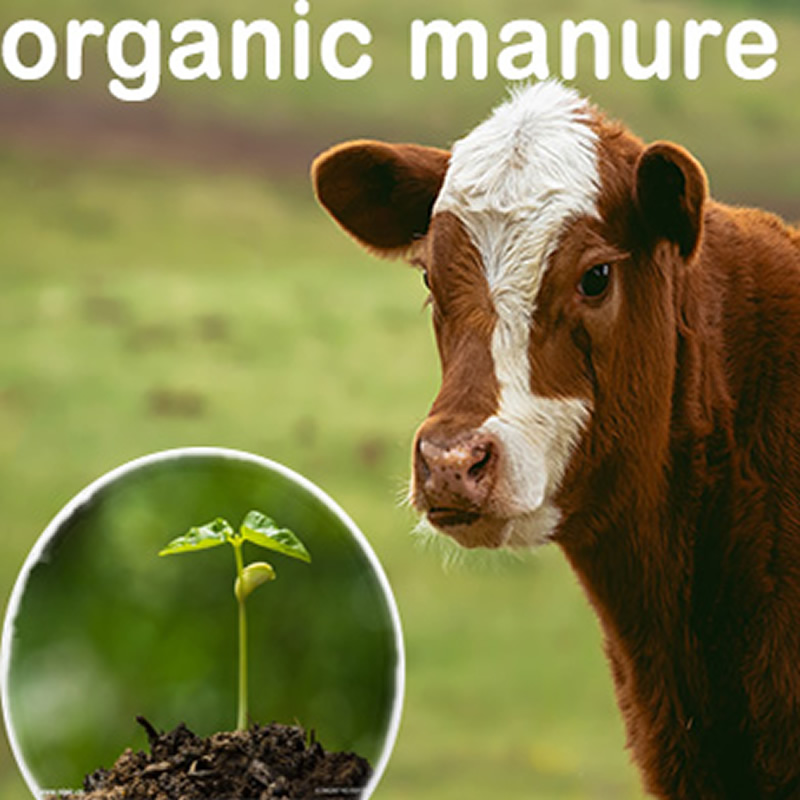 Some precautions for oil change in organic fertilizer production line