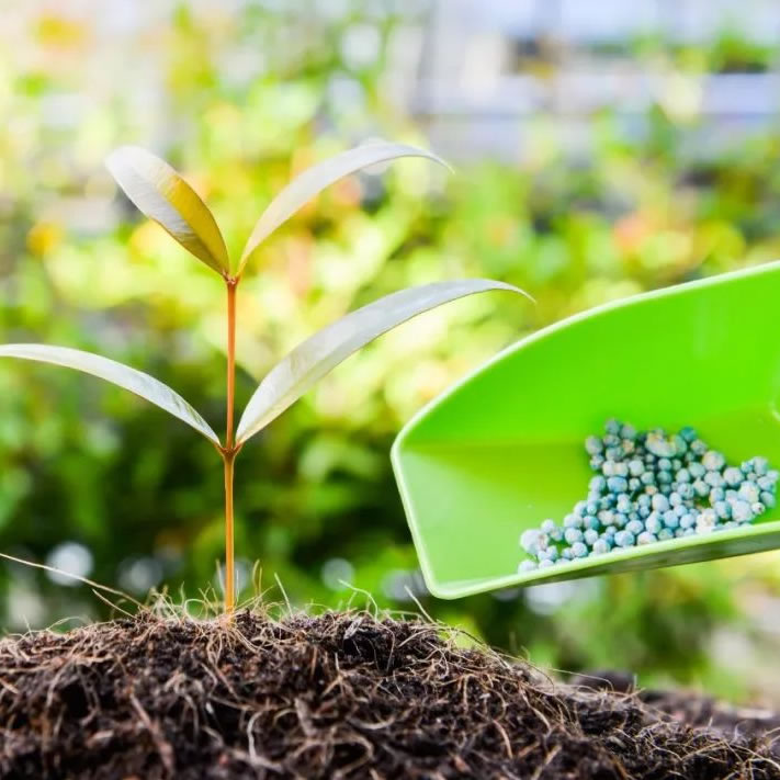 Hongxin Organic Fertilizer Production Equipment Process Revealed