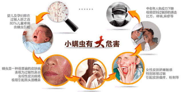 尘螨