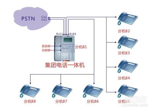 香港特马王中