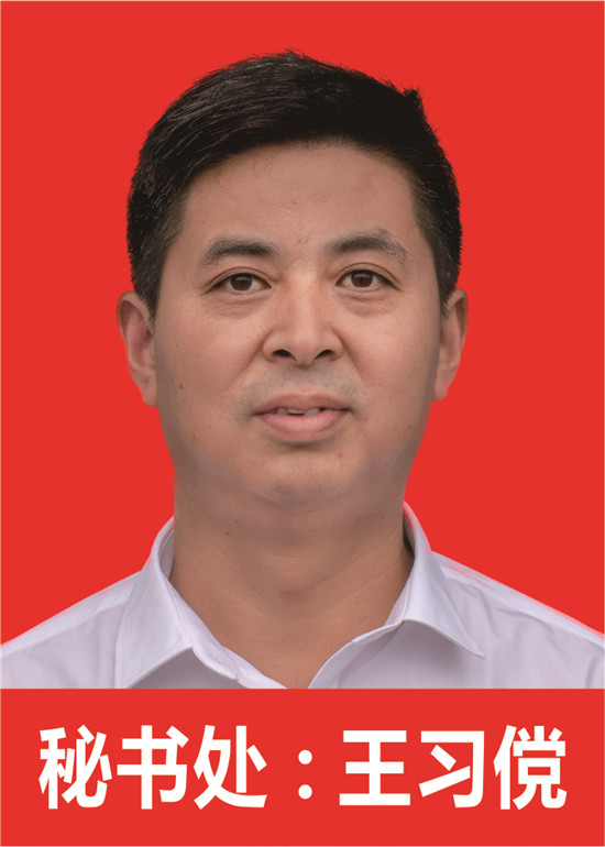  秘书长 王习傥