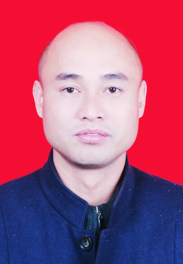 执行会长 杨燕龙