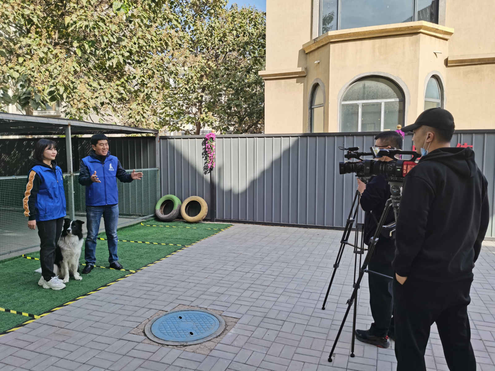 训犬师，刘晓伟说，学宠物犬训练还是工作犬训练，选对了你才能赚钱