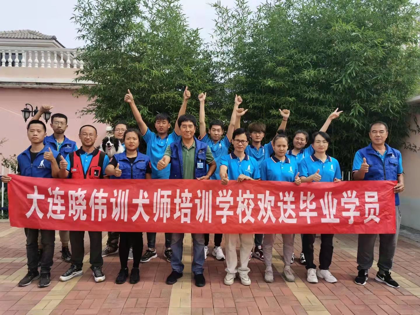 训犬师培训专家告诉你，学习训犬选择训犬师培训学校应注意的几个问题