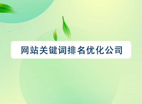網(wǎng)站關(guān)鍵詞排名優(yōu)化公司
