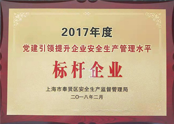 2017年度标杆企业