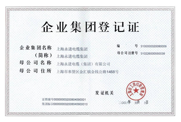 企业集团登记证