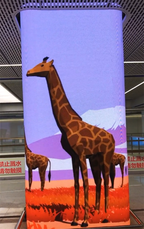 LED 3D 裸眼 长颈鹿 点击详情