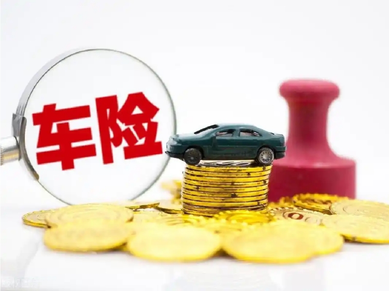 中安集团是干什么的？