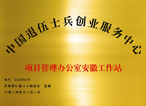 项目管理办公室副本