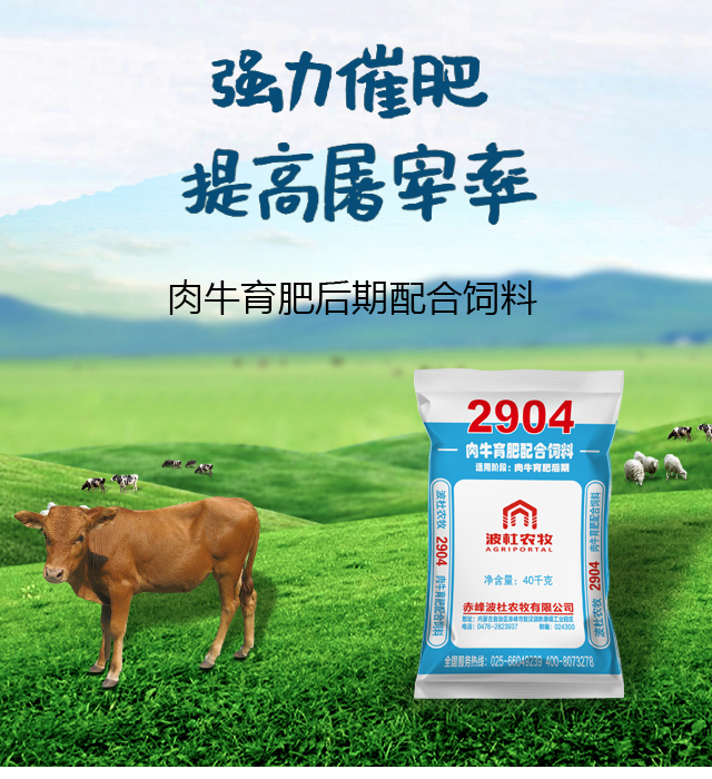 畜禽配合饲料行业的最新动态与发展趋势