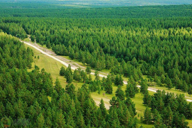 徒步呼伦贝尔·走进原始森林·横穿游牧草原8天7晚户外行