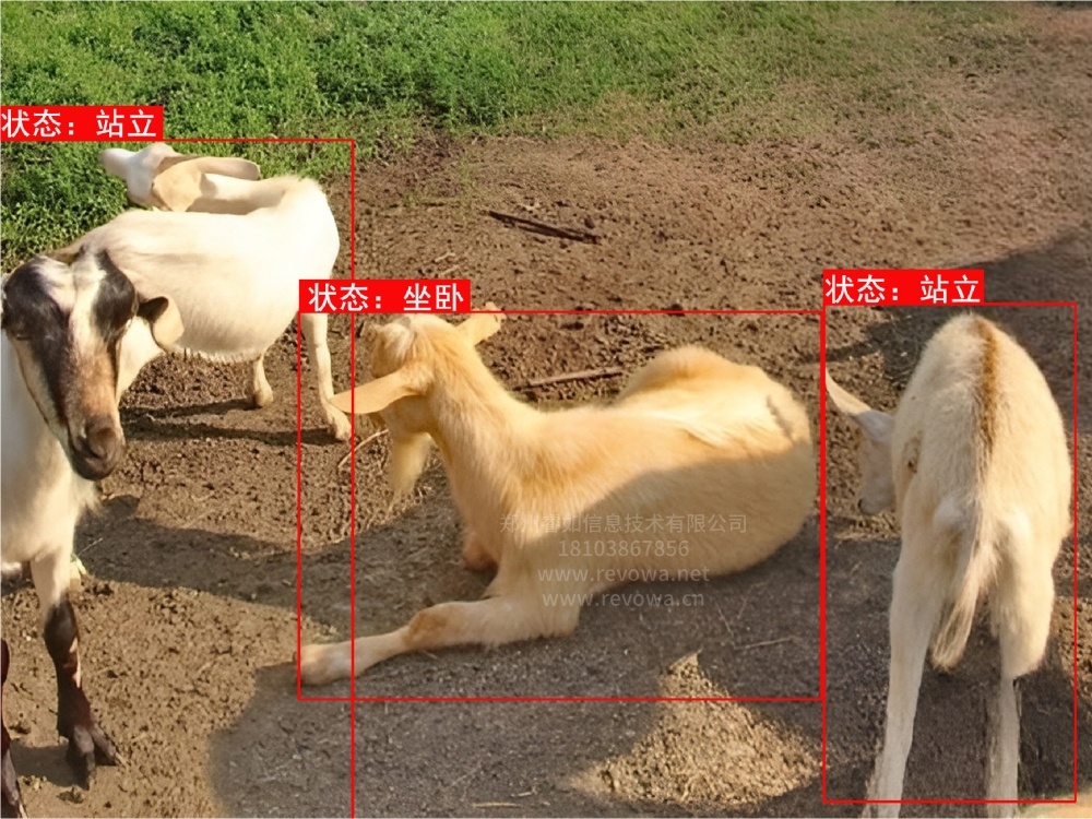 焦点图一